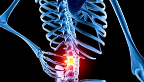 Bolesti páteře