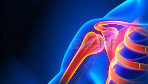 Bolesti ramenního kloubu