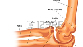 Bolesti loketního kloubu